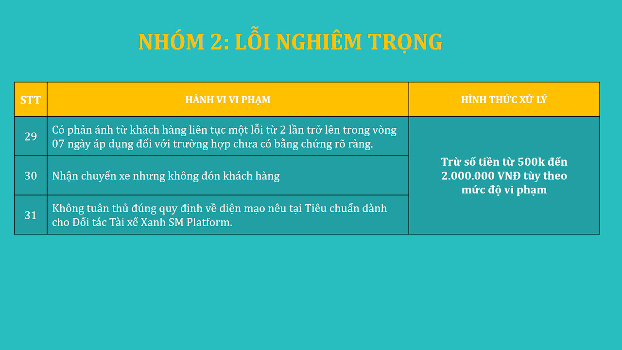 Nhóm 2: Lỗi nghiêm trọng